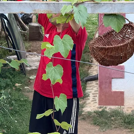 בית הארחה Lika *