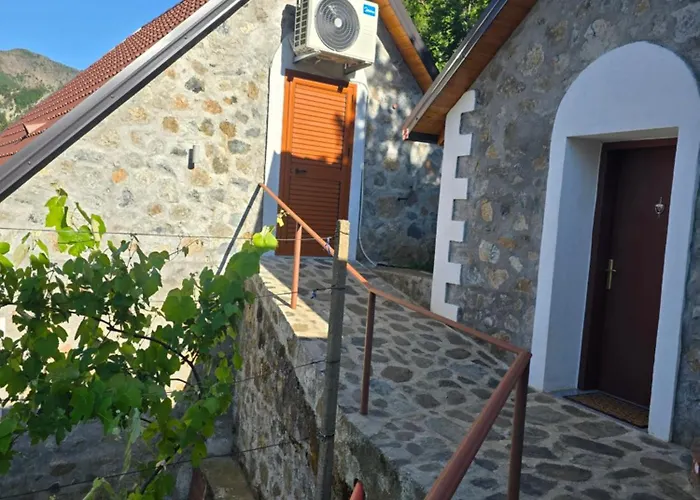 Lika Pensión Shkoze (Shkoder)